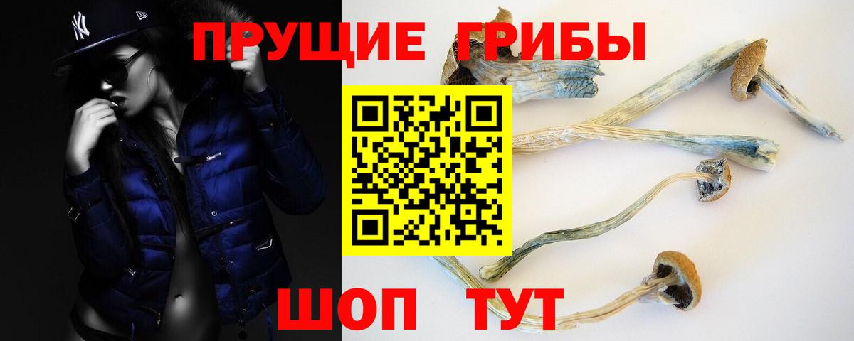 Галлюциногенные грибы GOLDEN TEACHER  Вход с VPN  Сертолово 